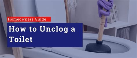 How to Unplug a Clogged Toilet に対する画像結果