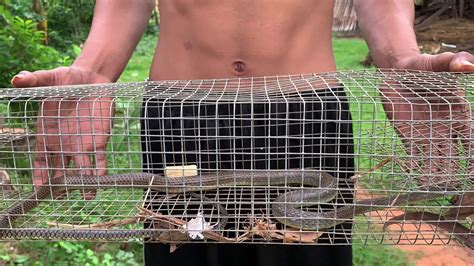 Image result for Snake Catching Channels