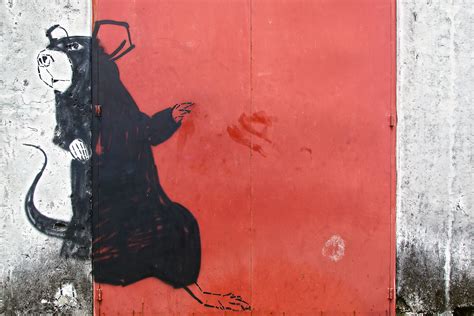 Toradh íomhá ar Array Productions Logo