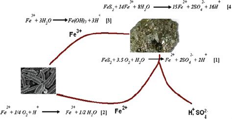 Image result for Oxidized Maroon Pyrite