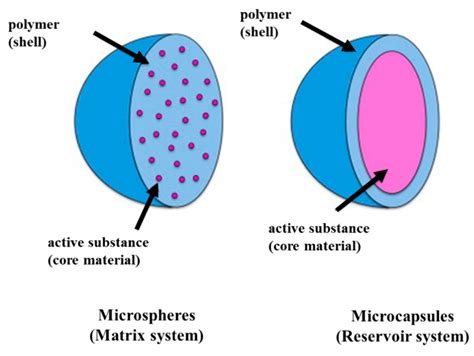 Image result for Microencapsulation Process