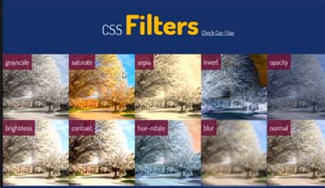 Image result for Filter in HTML/CSS