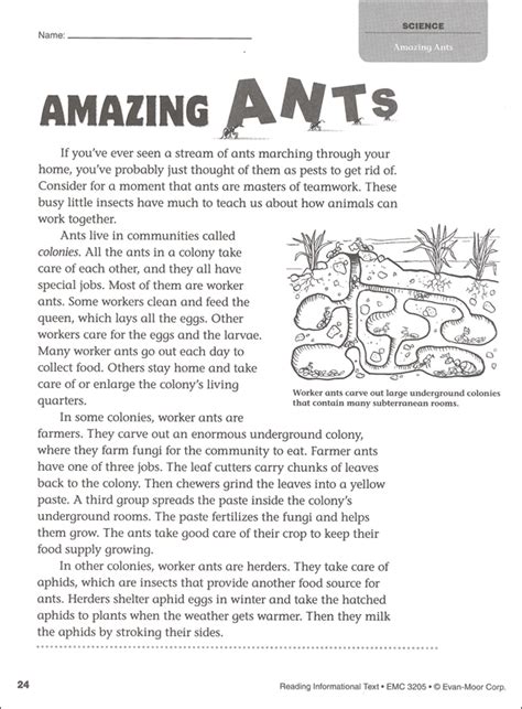 Image result for Reading Informative Text