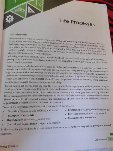Image result for Life Process Worksheet Class 10