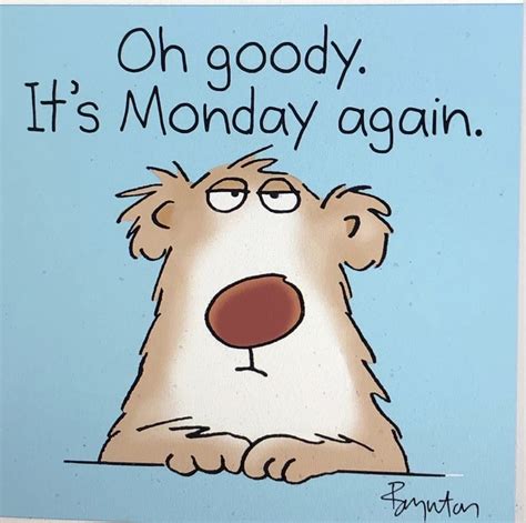 Image result for Funny Monday Humor