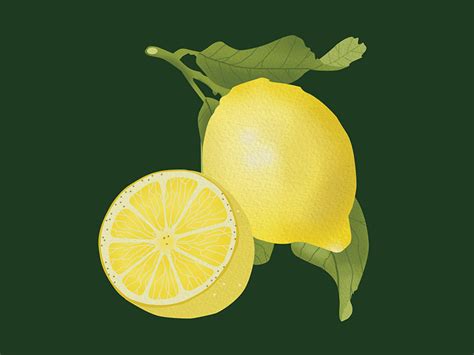 Image result for Free Fruit Animation Script