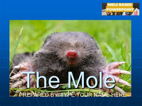 Image result for Grade 9 Science Module Mole