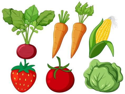Image result for Vegetable Animation