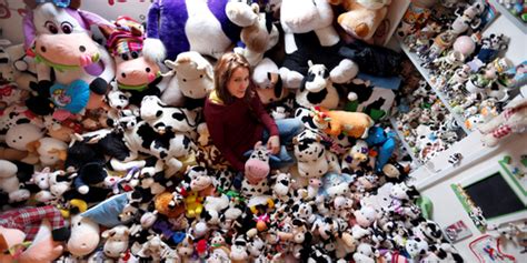 Image result for Collections Database C#