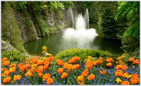 Image result for +High Res Spring Wallapper