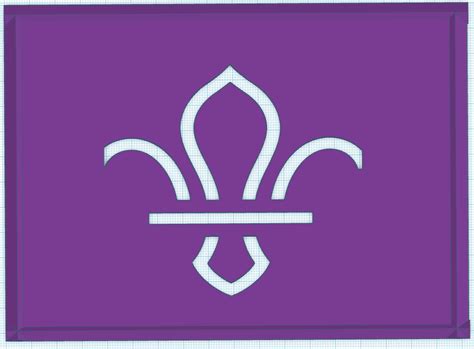 Image result for Scout Logo CSS