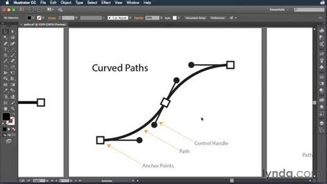 Image result for Differrent Path Vector