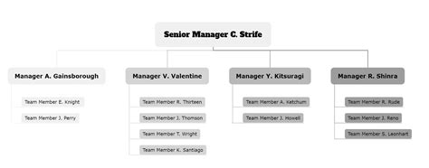 Image result for Organization Chart General Manager