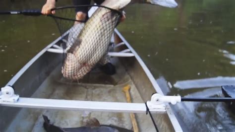 Image result for How to Run a Trotline