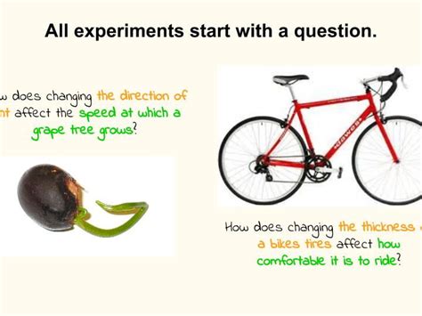 Image result for Scientific Questions Examples