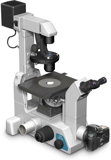 Inverse Microscope に対する画像結果