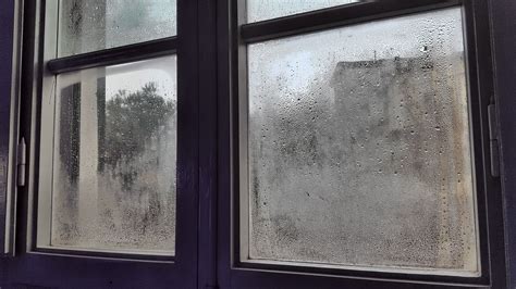 Image result for Damp Over Window