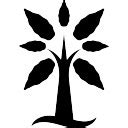 Image result for TreeMap Symbol