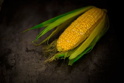 Image result for Pines and Corns