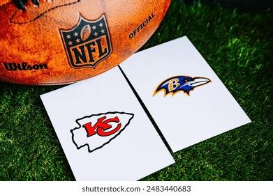 Image result for Ravens Bird and Cats