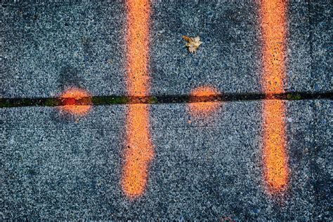 Bildergebnis für Four Basic Principles of Design