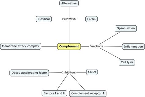 Image result for The Complement System Concept Map