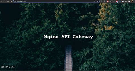 Toradh íomhá ar Nginx API Gateway Logo