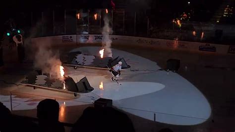 Toradh íomhá ar Chicago Wolves Introduction