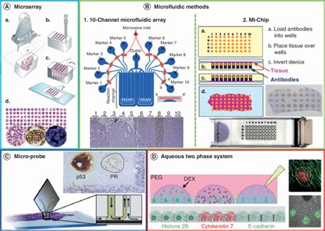 Image result for Cosmic Tissu Microarray Spatial