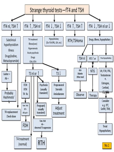 Image result for Thyroid Hormone Algorithm