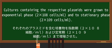 Pattern Exponential Equation に対する画像結果