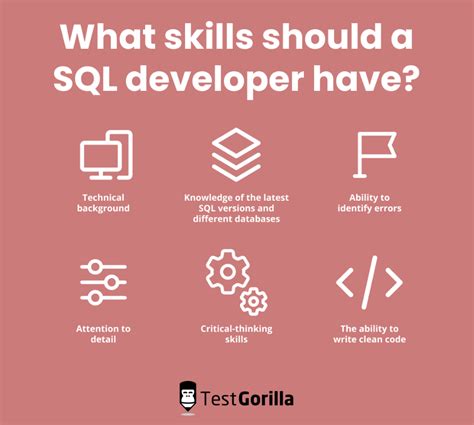 Toradh íomhá ar SQL Developer Skills Required