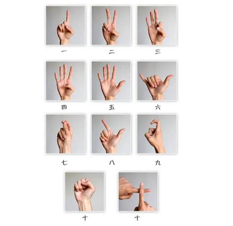 Image result for Chinese Digits Hand