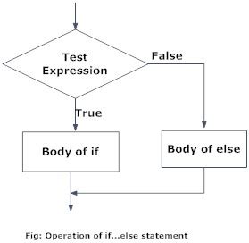 Image result for If Elif Else Flowchart in Python