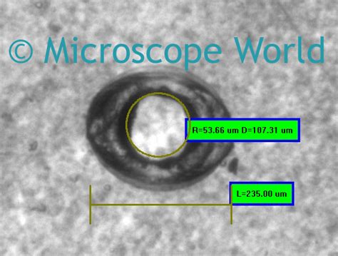 Microscope Plate Diameter に対する画像結果