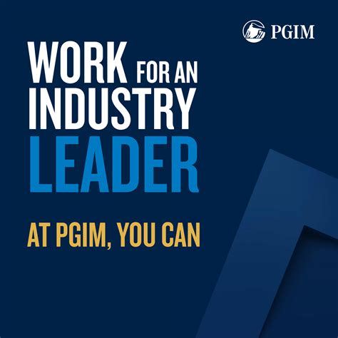 Toradh íomhá ar My Pressush