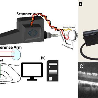 Image result for Erg System Module Connector