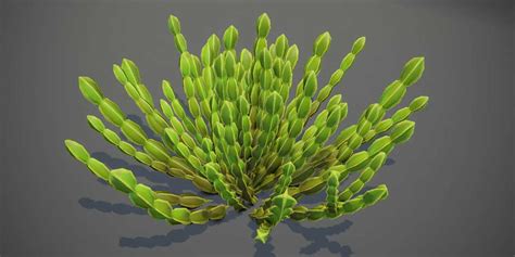 Afbeeldingsresultaten voor Blender Cartoon Bushes