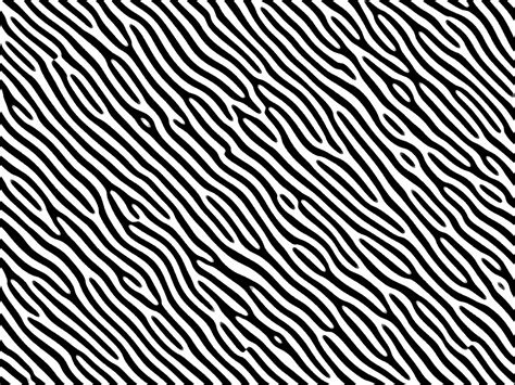 Image result for Free Printable Zebra Print Pattern