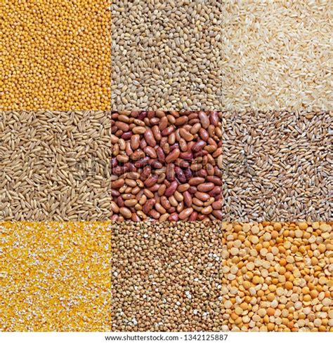 Image result for All Types of Grains