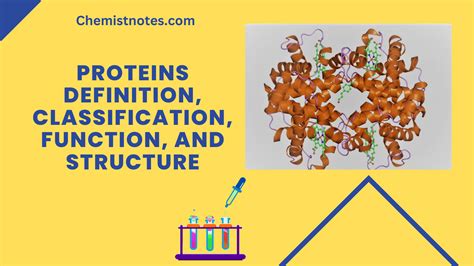 Image result for Protein Structure and Function