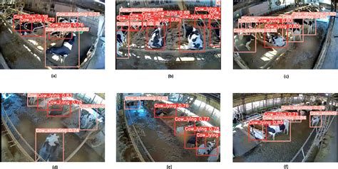 Image result for Computer Analysis Cow