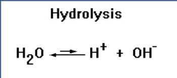 Image result for Hydrolysis Reaction Example