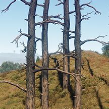Image result for Rust Game Tree-Cutting Sound