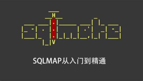 Sqlmap Example 的图像结果