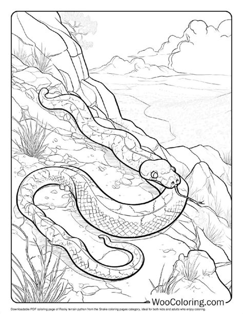 Image result for Python Snake Coloring Page in a Tree