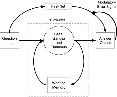 Neural Network Mathematical Model に対する画像結果