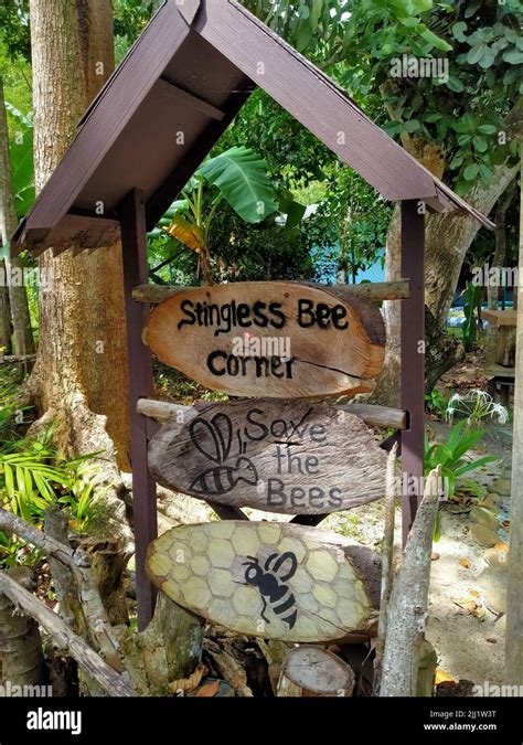 Image result for SIGINT Bee