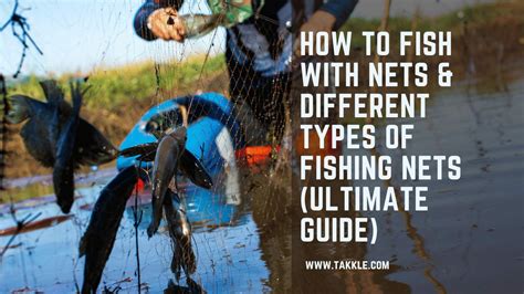 Image result for Catching White Fish Now with Net