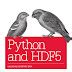 Python and HDF5 に対する画像結果